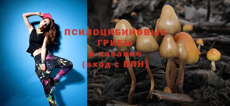 Псилоцибиновые грибы MAGIC MUSHROOMS  Лысково 